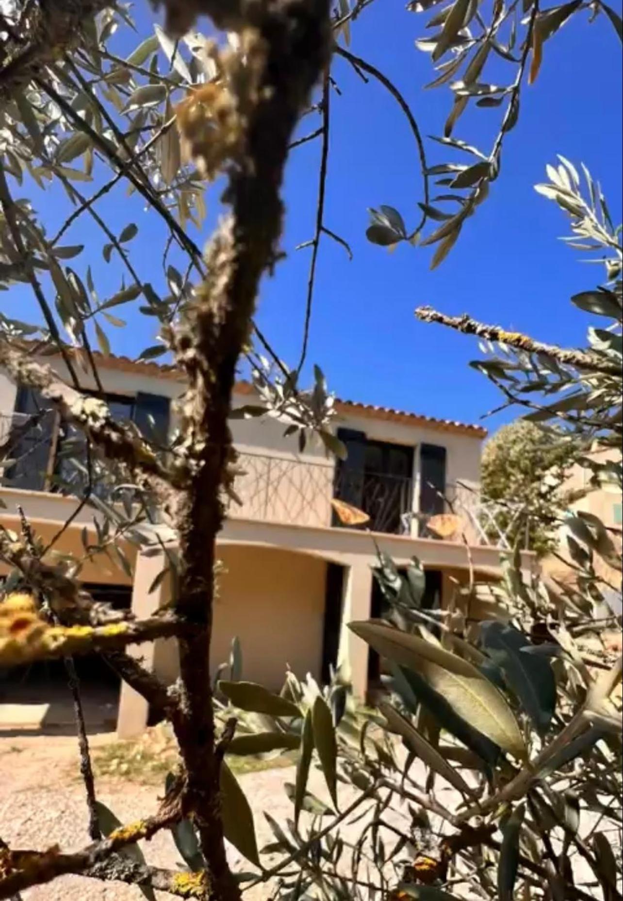 Loft Pied De Coline Au Calme Apartamento Ginasservis Exterior foto